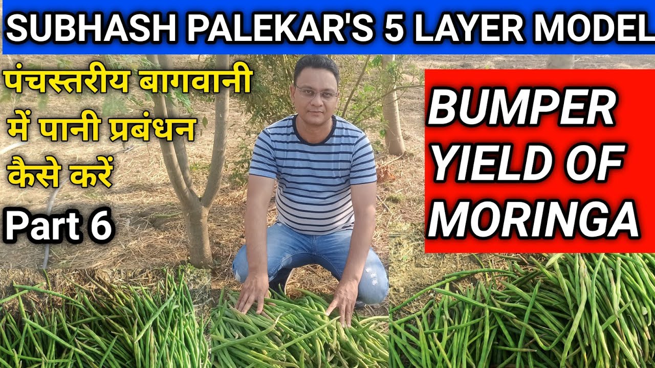 Subhash Palekar 5 Layer Model | Part 6 | Subhash Palekar Natural Farming | Moringa Farming | SPNF