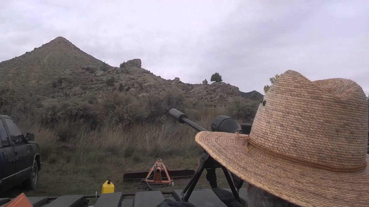 Savage Mark II .22 Rifle, Gemtech Silencer & Subsonic Ammo - 300-yard Steel Coyote Target