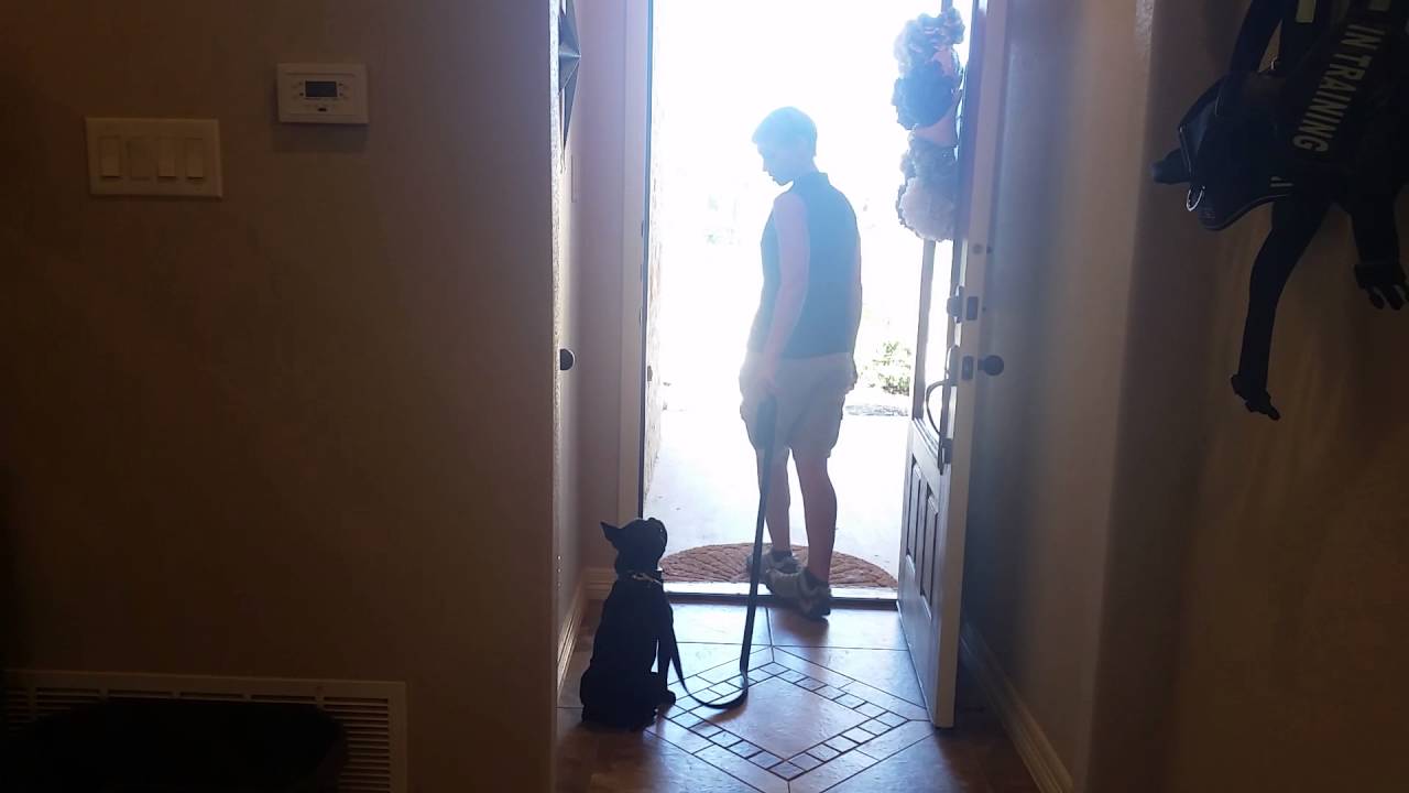 Pascal: Door Manners