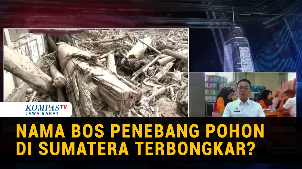 Bupati Tapanuli Selatan Bongkar 11 Nama Bos Penebang Pohon