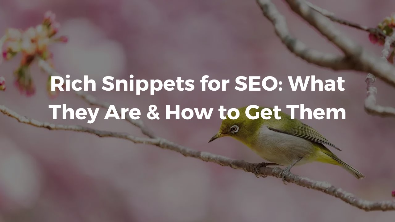 How To Get Rich Snippets On Google In 2021