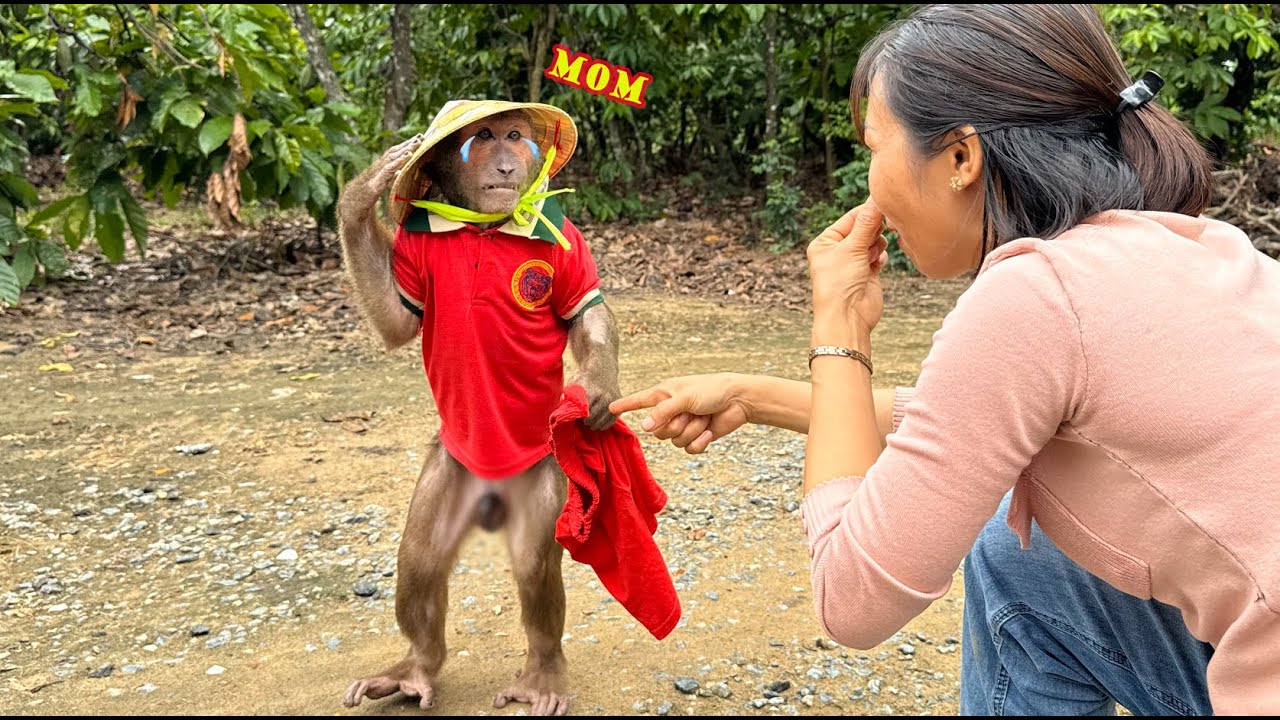 ABU hugs diaper cry for mom take bath when pooping