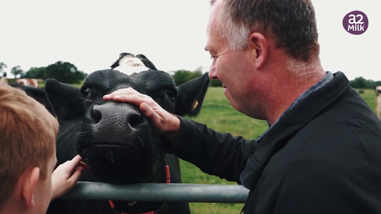 Our a2 Milk&trade; Farms