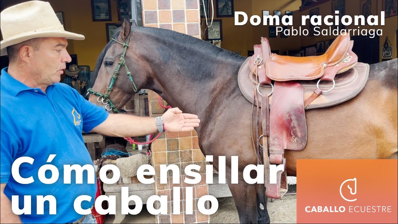 Cómo ensillar un caballo correctamente - Doma racional - Pablo Saldarriaga