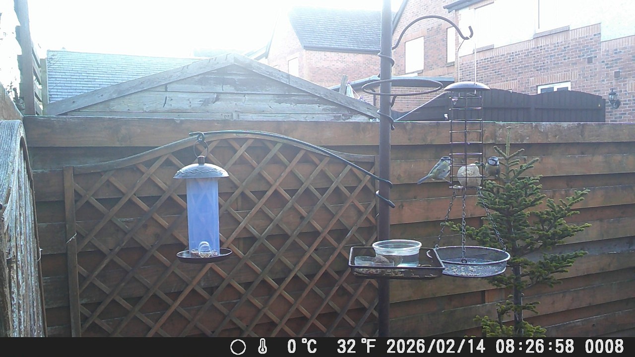 Garden Trail Camera 14th February 2026