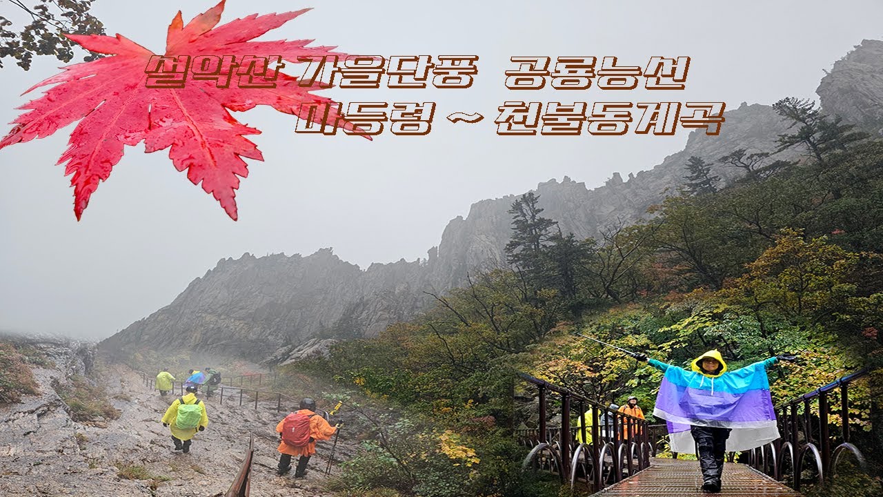 설악산의 가을풍경, 마등령등산코스 공룡능선단풍 천불동 계곡산행 우중산행 기록