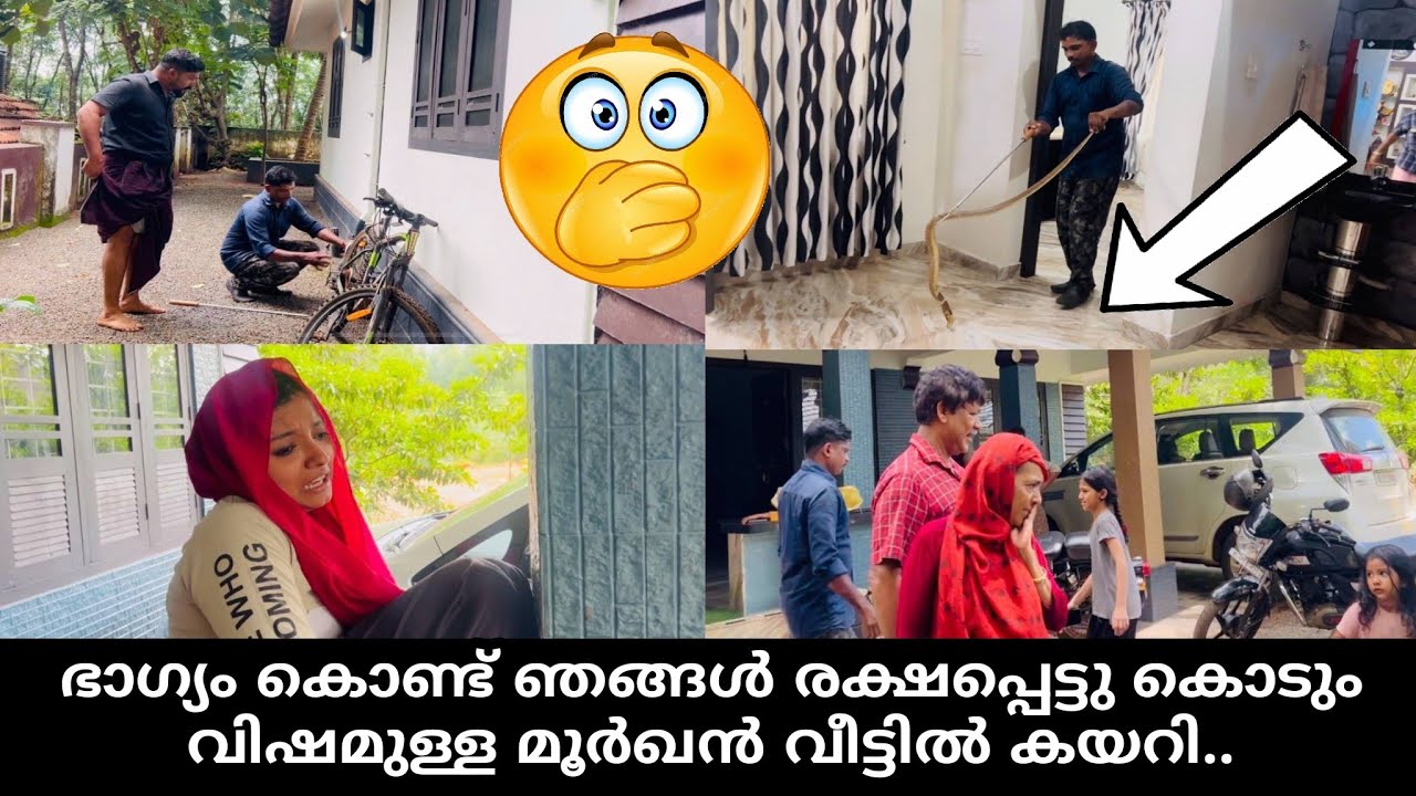 😵👉 Cobra snake | ഭാഗ്യം കൊണ്ട് ഞങ്ങൾ രക്ഷപ്പെട്ടു കൊടും വിഷമുള്ള മൂർഖൻ വീട്ടിൽ കയറി..🫢