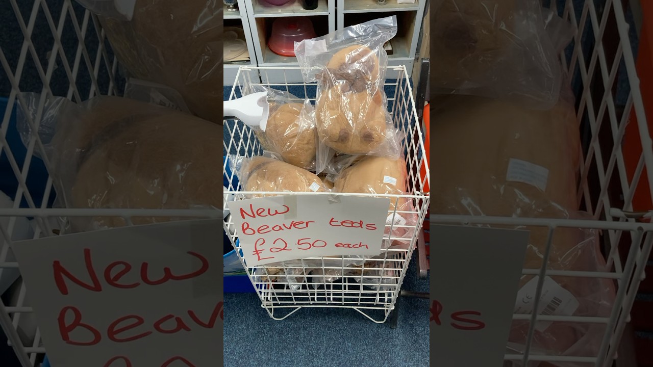 Bargain of the Day 🦫🧸#9966.