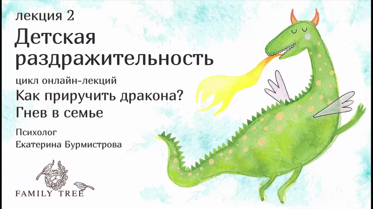 ДЕТСКАЯ РАЗДРАЖИТЕЛЬНОСТЬ | Екатерина Бурмистрова