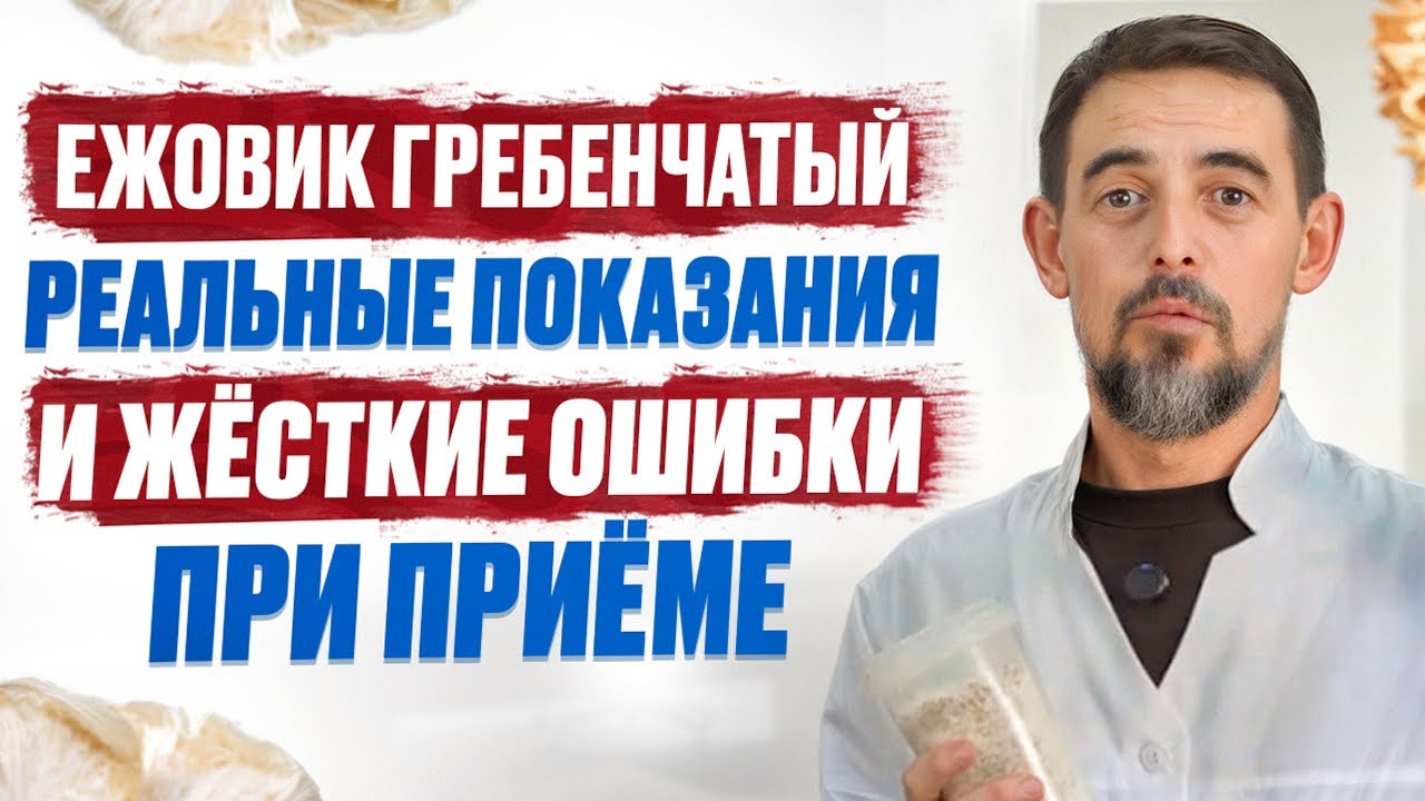 ЕЖОВИК ГРЕБЕНЧАТЫЙ – главный биохакерский ГРИБ от Альцгеймера