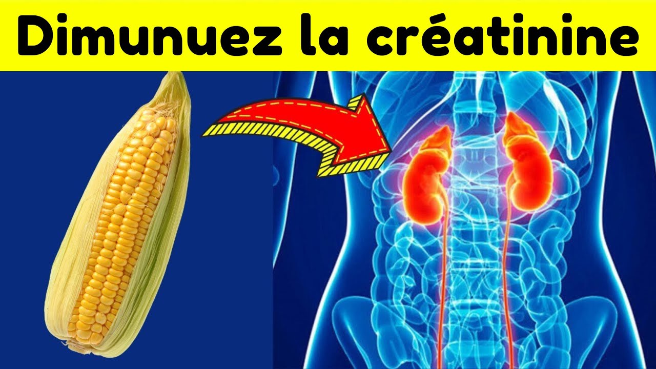 5 SUPER-ALIMENTS pour r&eacute;duire la cr&eacute;atinine rapidement et am&eacute;liorer la fonction r&eacute;nale