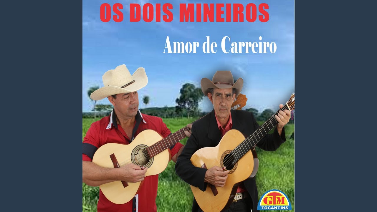 A Volta Do Viajante