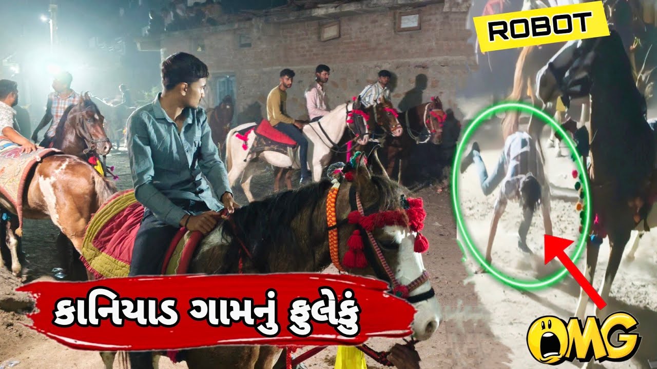 કાનિયાડ ગામનું ફુલેકું|HORSE LOVERS|KATHIYWADI HORSE|HORSE LIFE|HORSE VIDEO|HORSE VLOG|FULEKU|TORAN|