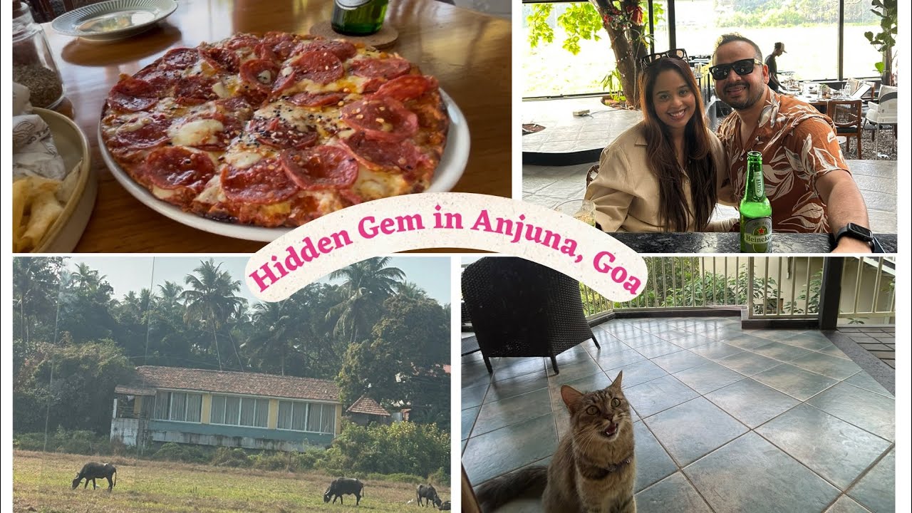 Must visit restaurant in north Goa - Elephant and co.🤩🍕🌯😍 | Day 5