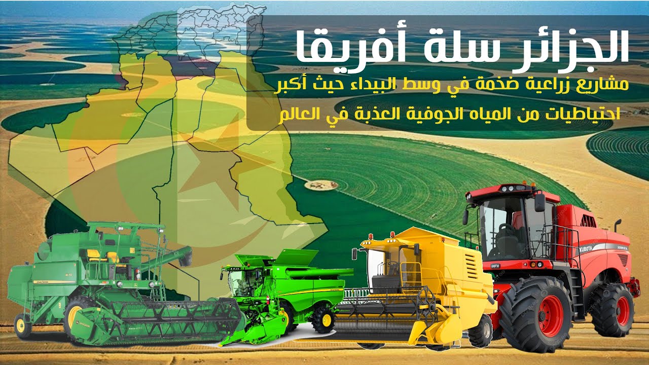 الصحراء تُثمر.. الجزائر تُطلق مشروع سلة غذاء إفريقيا!