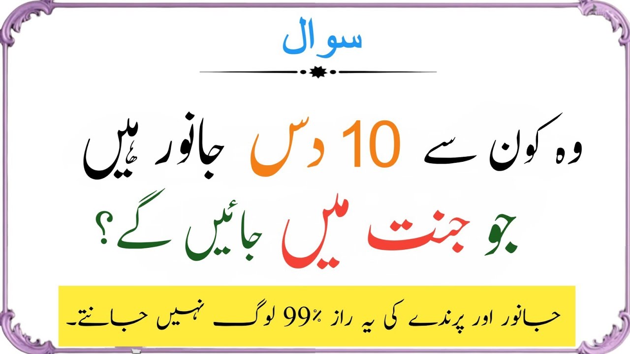 Amazing Question Answer | Islamic Quiz | Islami sawal jawab | Islami Malumat 