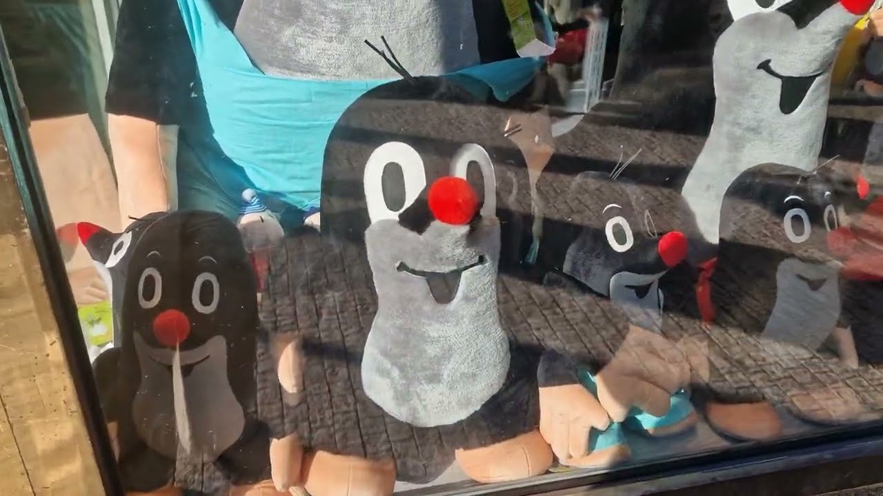 Пойдём посмотрим #Прага2026 #февраль #улицыгорода #улица #витрина #travel #praha #Čech #streettoday 