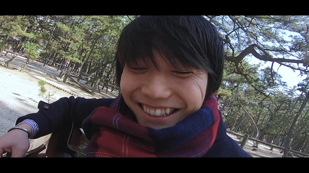 THE S.O.S. 「ノルウェイの森」OFFICIAL MUSIC VIDEO