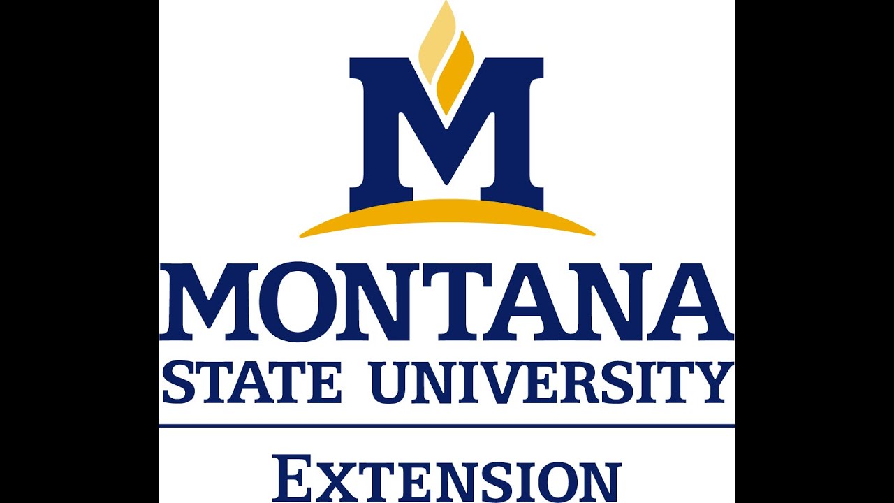 Small Business Webinar Series: Strategic Communication for Women in Business