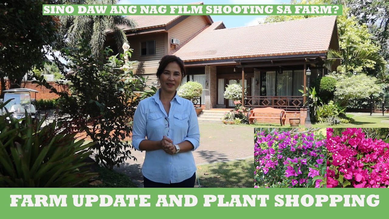 Ang Daming Ganap! Farm Update and Plant Shopping :)