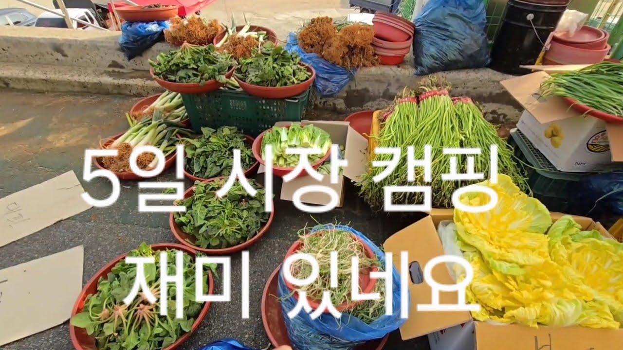 함평시장 구경하고 캠핑 재미있네요#캠핑장 #캠핑카 #캠핑필수템 #빈티지캠핑 #노지차박 #카라반#캠핑요리