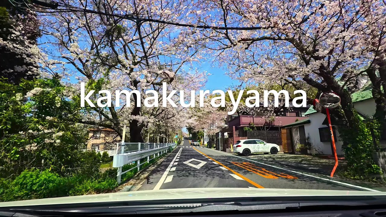 【鎌倉ドライブ】桜咲く『鎌倉山』へ2025.4.5［No Music］