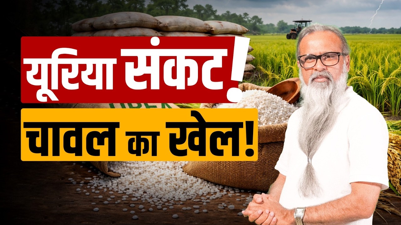 वैश्विक संकट से भारत पर असर! यूरिया, चावल व्यापार और AI खेती का बड़ा सच