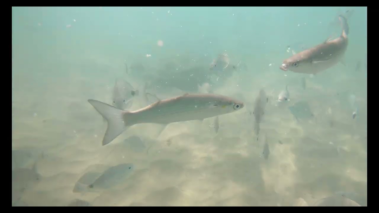 Lanzarote dicembre 2025 Mujeres e lluvia parte 3