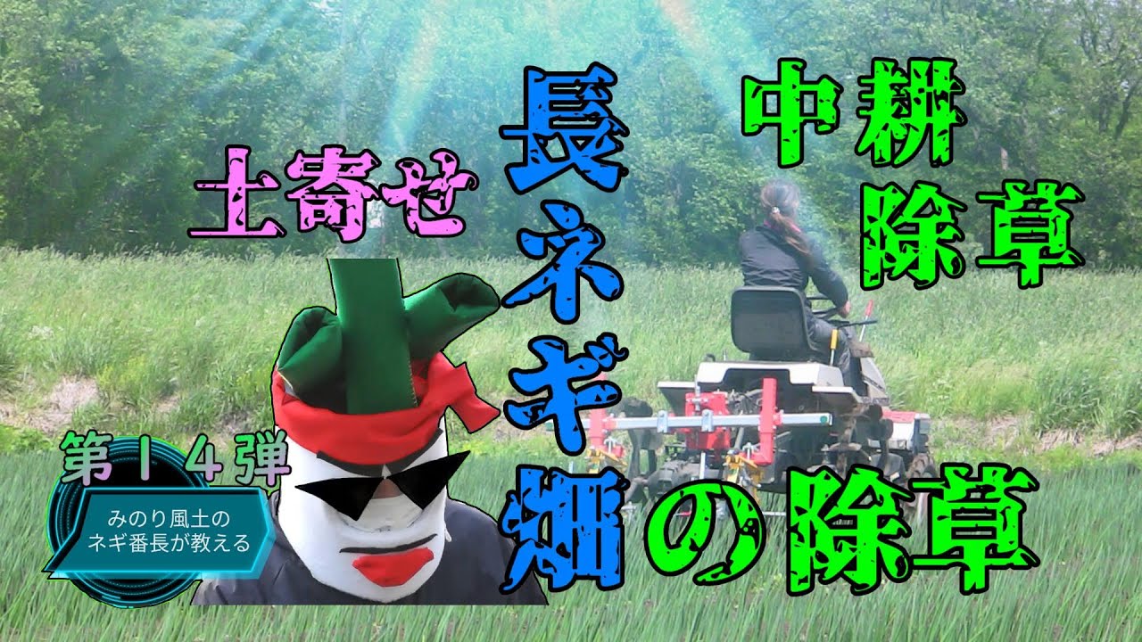 ⑭ネギ番長がお届けする【ネギの育て方～除草作業➀～編】