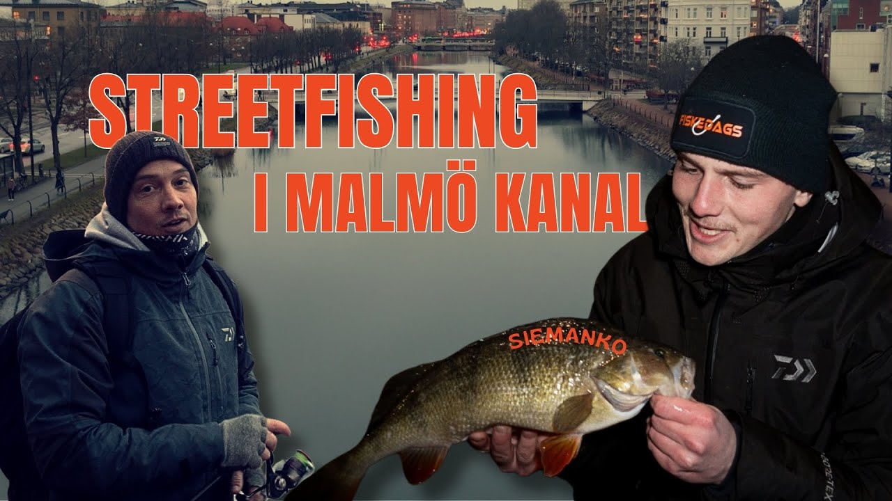 STREETFISKE I MALMÖKANAL MED MARTIN FRÅN DAIWA