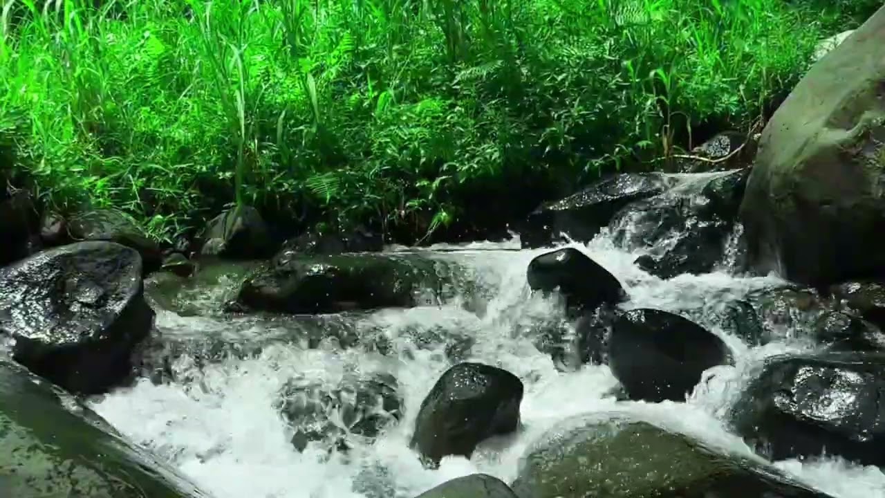 Peaceful River Water Sounds – Pure Water Sounds White Noise for Relaxation & Sleep