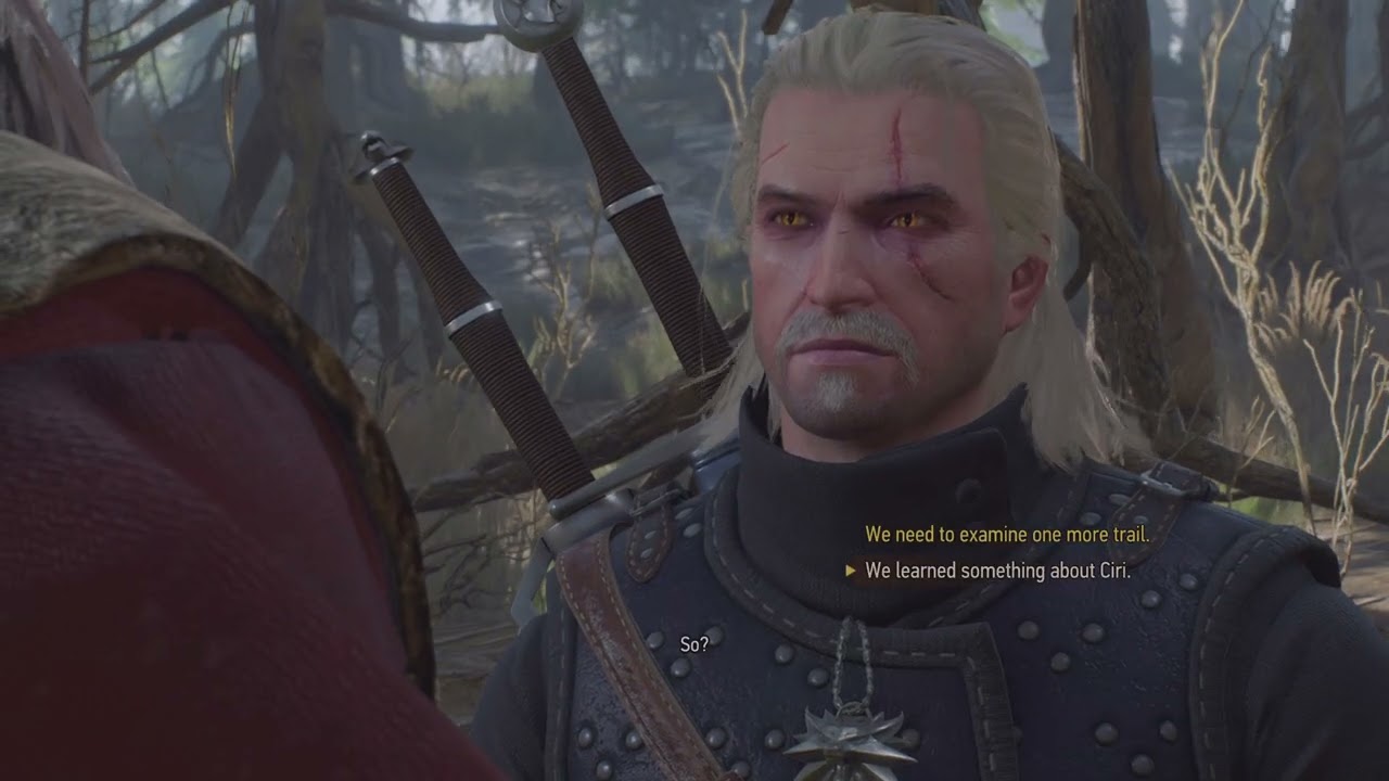 The Witcher 3: Wild Hunt