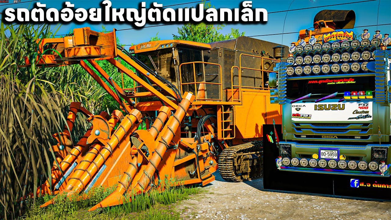 ผมเอารถตัดอ้อยใหญ่มาตัดในป่าที่แคบๆแปลงเล็กๆ | Farming Simulator 22