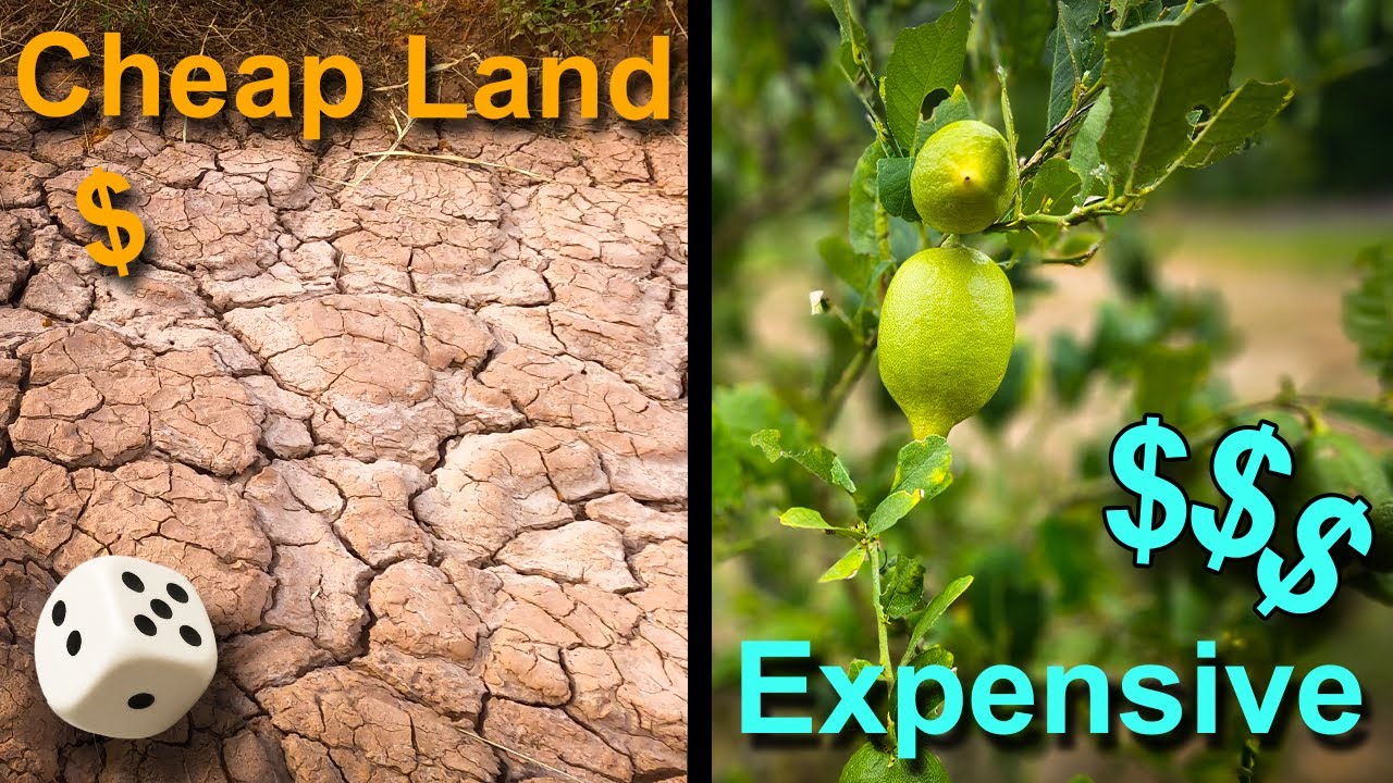 Would I Still Buy This Land Today? The Truth About Cheap Land & Water