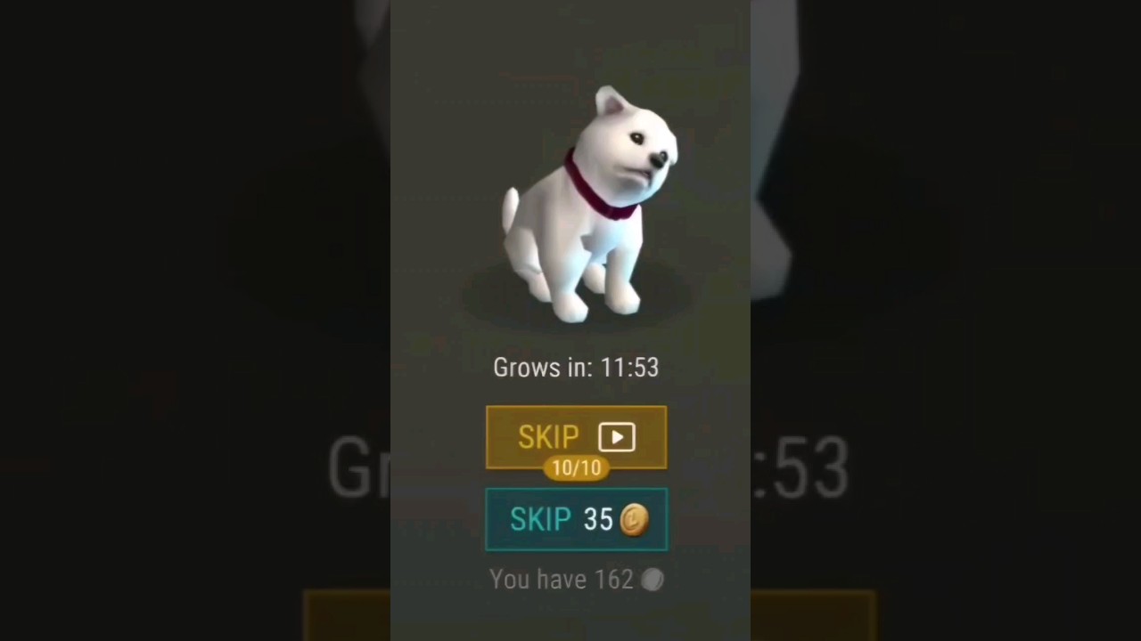 LDoE, raise a puppy of Rank III in Last Day on Earth: Survival