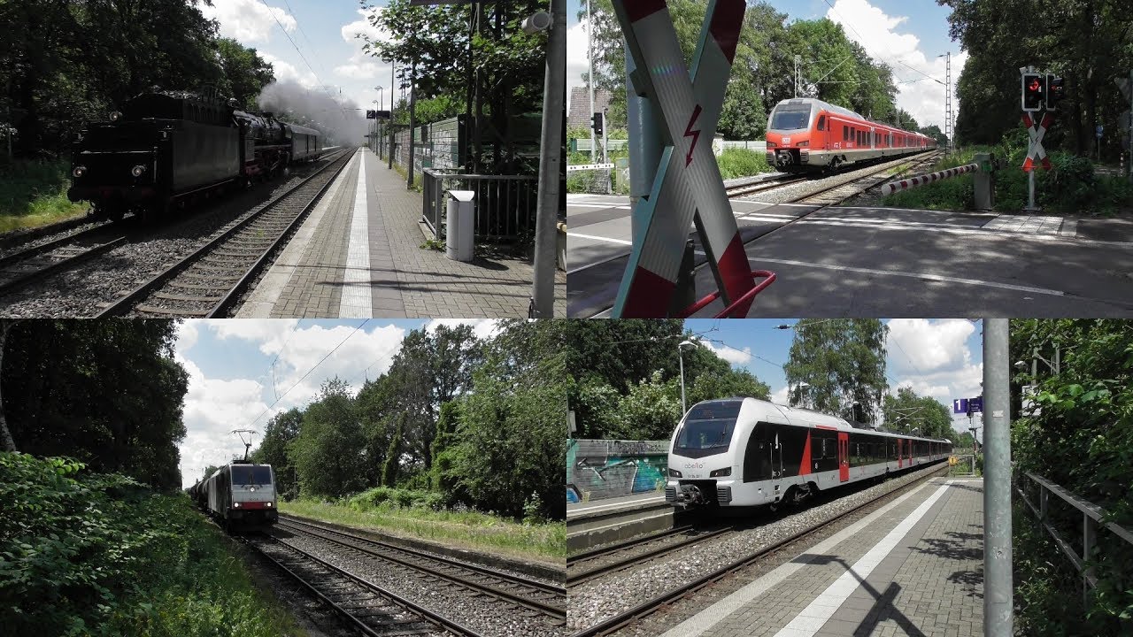 Bahnverkehr in Forsthaus mit 01 1075, Güterzügen, Br 425, 1428 & 1429