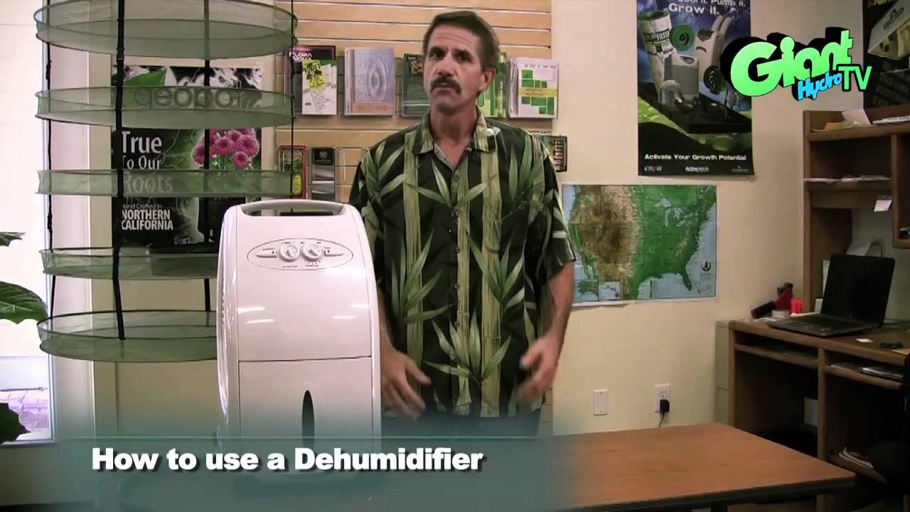 How to use a Dehumidifier in your indoor grow room