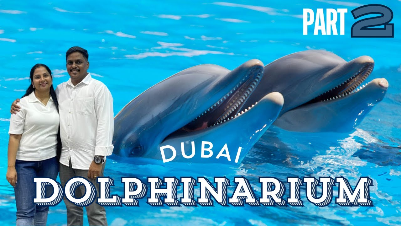 DUBAI DOLPHINARIUM | Part 2 | Seal 🦭 & Dolphin 🐬 Show in Dubai | Sea World's Dolphin Show Live