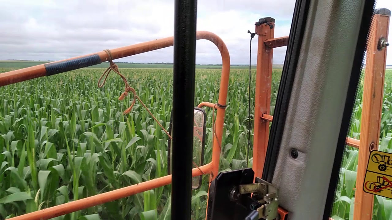 aplicando Priori milho🌽