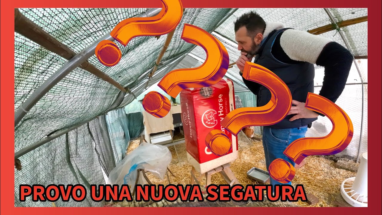 LA NUOVA SEGATURA | PROGETTO POLLAIO PT.44