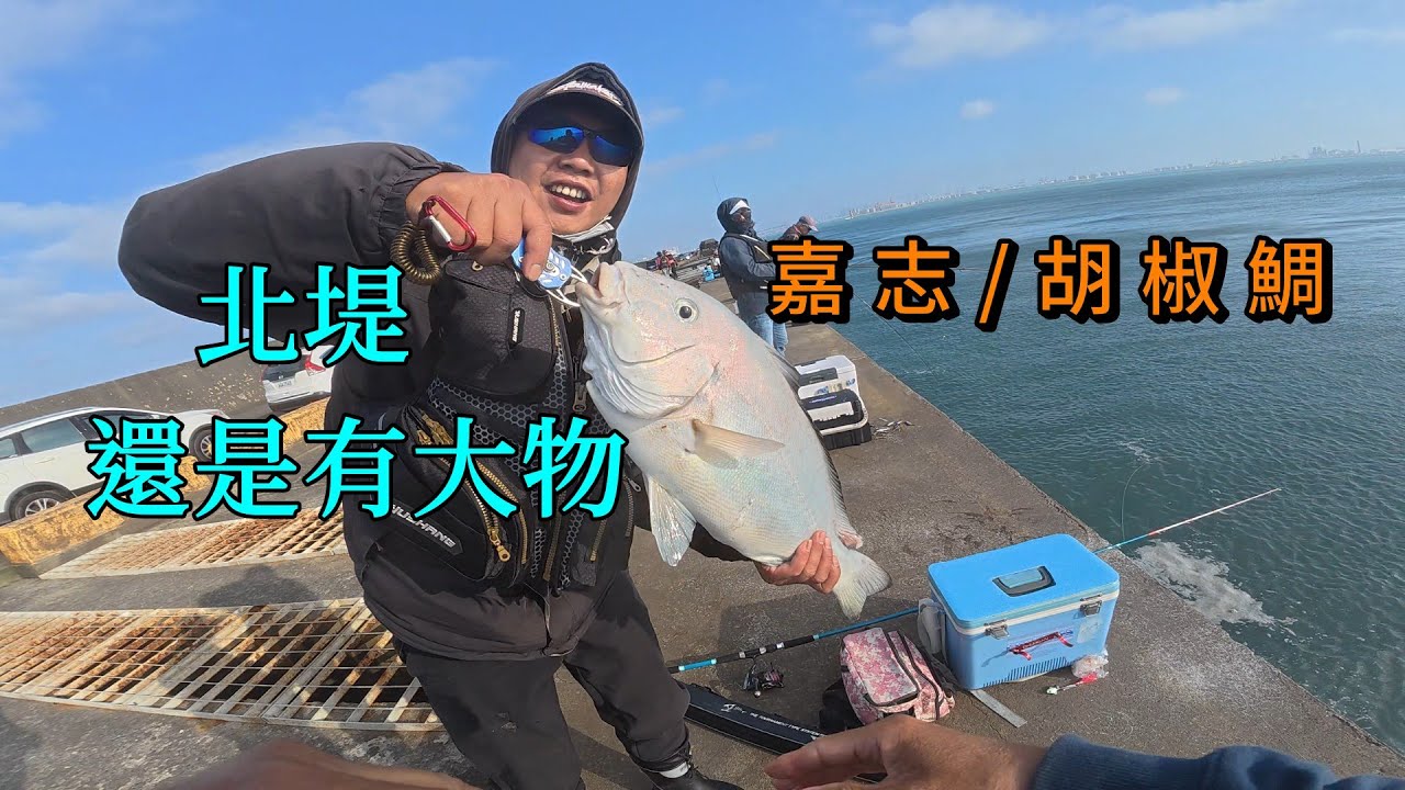 台中港北堤的石斑/鮸魚/嘉志 ,真的有大魚想釣到就憑自己的本事了!  #南投小江 #釣魚 #Fishing #Mancing #釣り