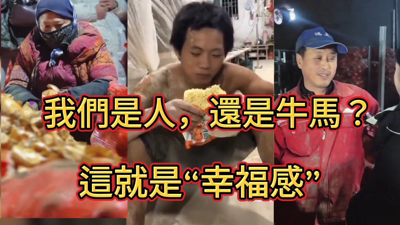 2026殘酷真相：城市越繁華，我們越邊緣！沒崗位沒活路的日子來了   霓虹燈下的牛馬：如果或者只爲了一口飯，我們和豬還有什麽區別  這盛世，如你所願？2026打工人的絕望獨白