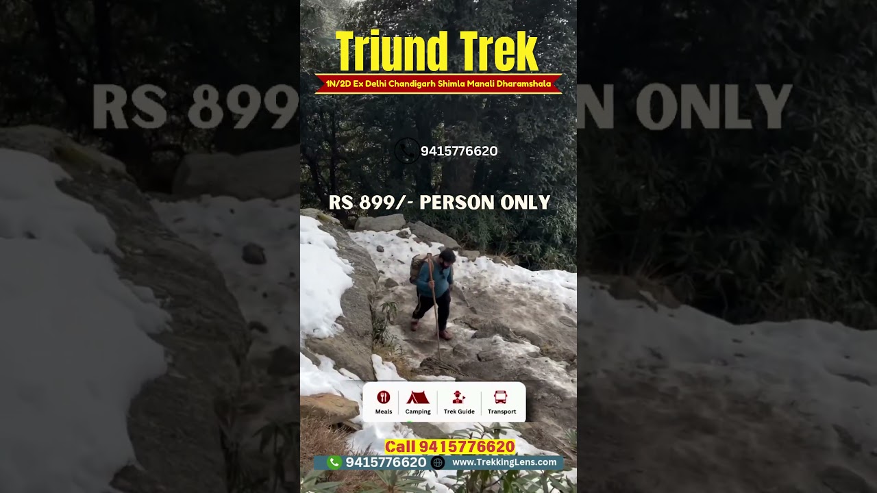 Triund Trek itinerary | Triund Top Trekking #triund #triundtrek #triundtop #dharamshala #shorts
