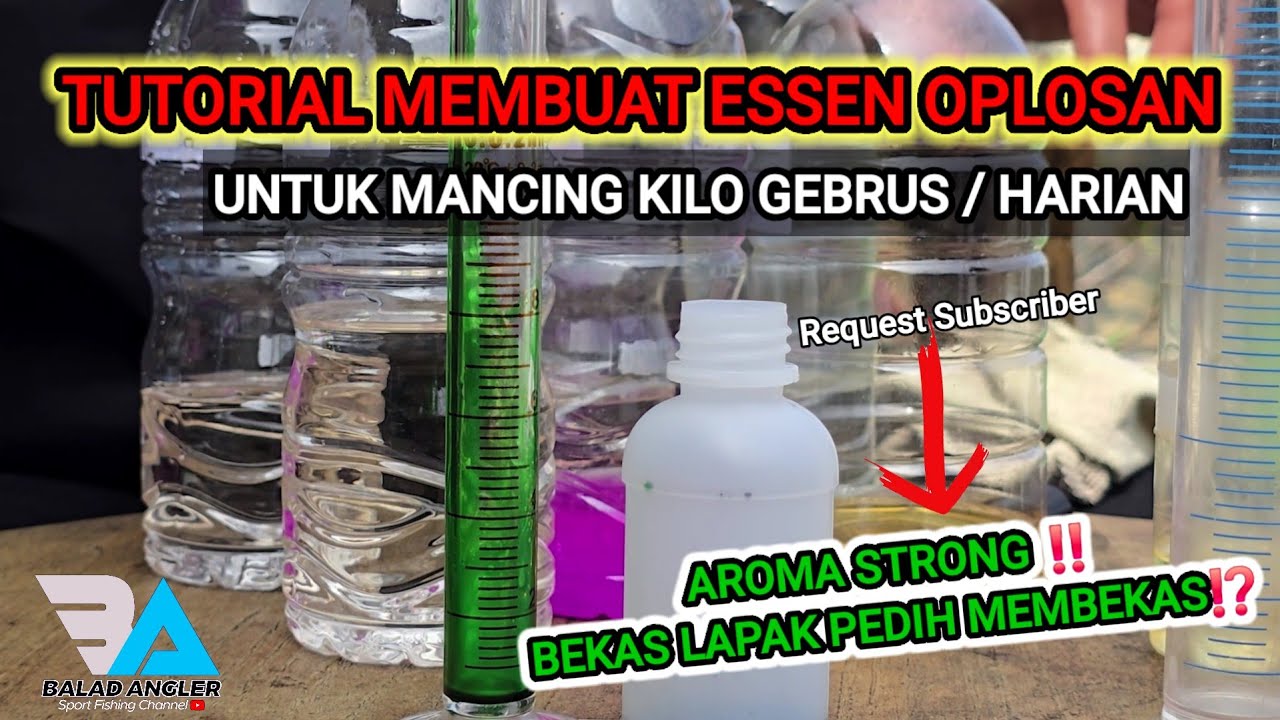 Ilmu Dasar membuat essen Oplosan aroma disukai ikan‼️Harian/Lomba/galapung dan galatama
