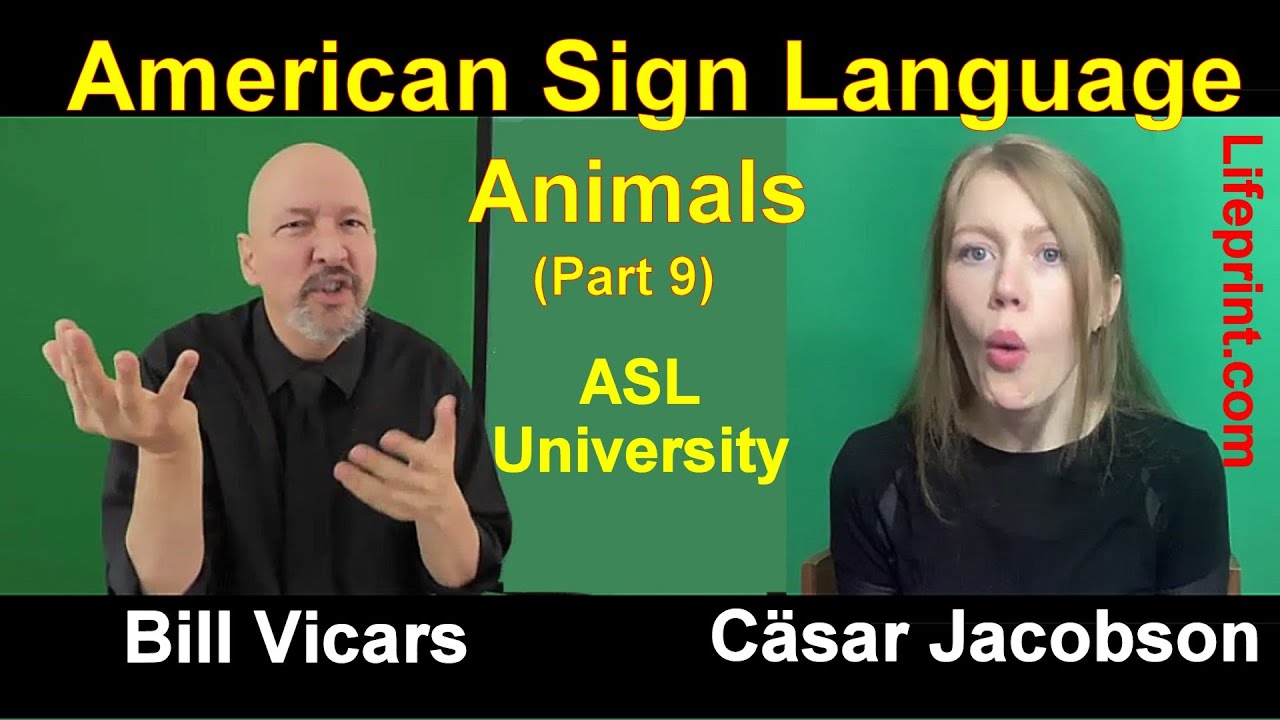 Animal Signs (09) American Sign Language (ASL) Bill Vicars with Cäsar Jacobson (Lifeprint.com)