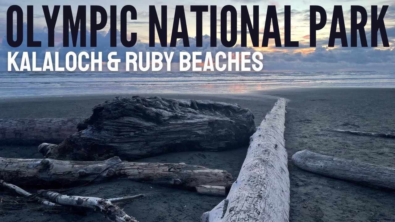 Olympic National Park | Kalaloch Beach | Ruby Beach
