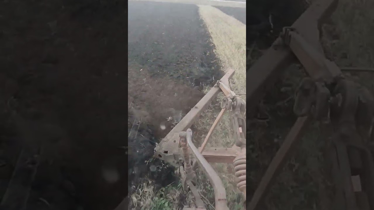 26 октября 2023 г.