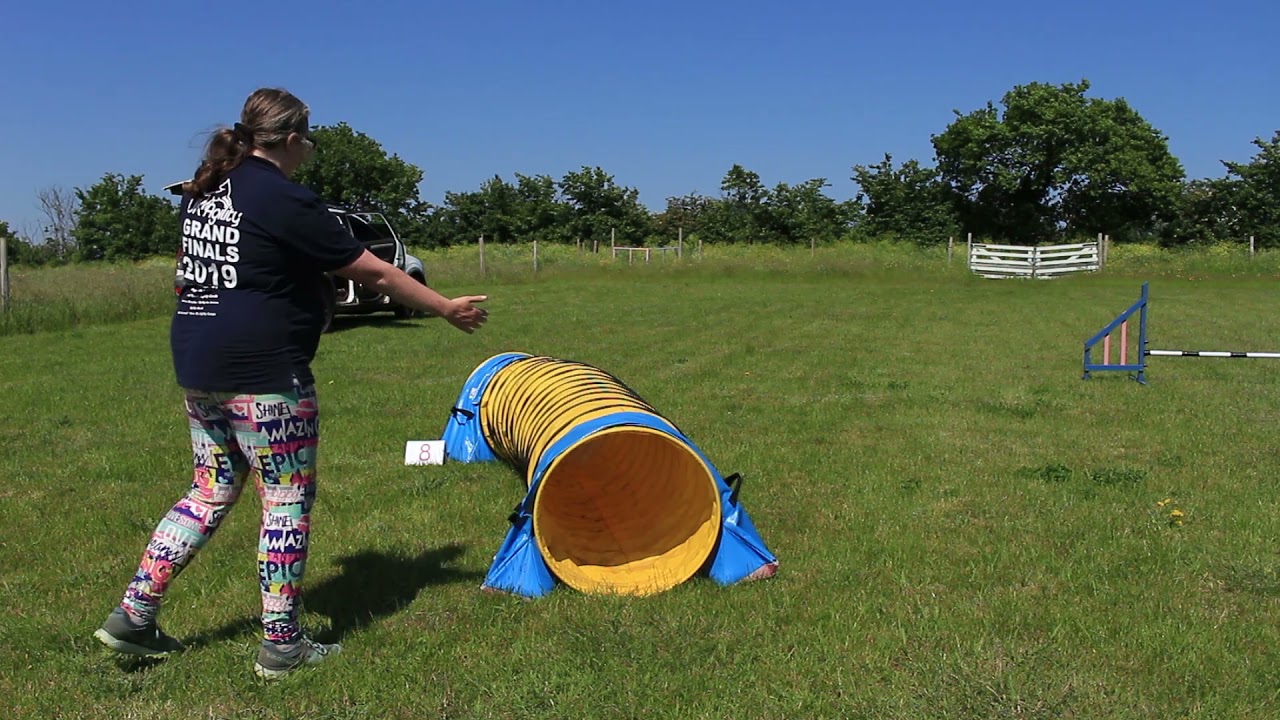 A-Z Agility: Course Numbering