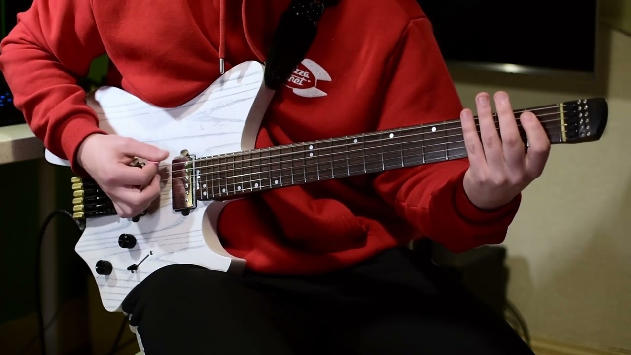 Animals - Architects - guitar cover