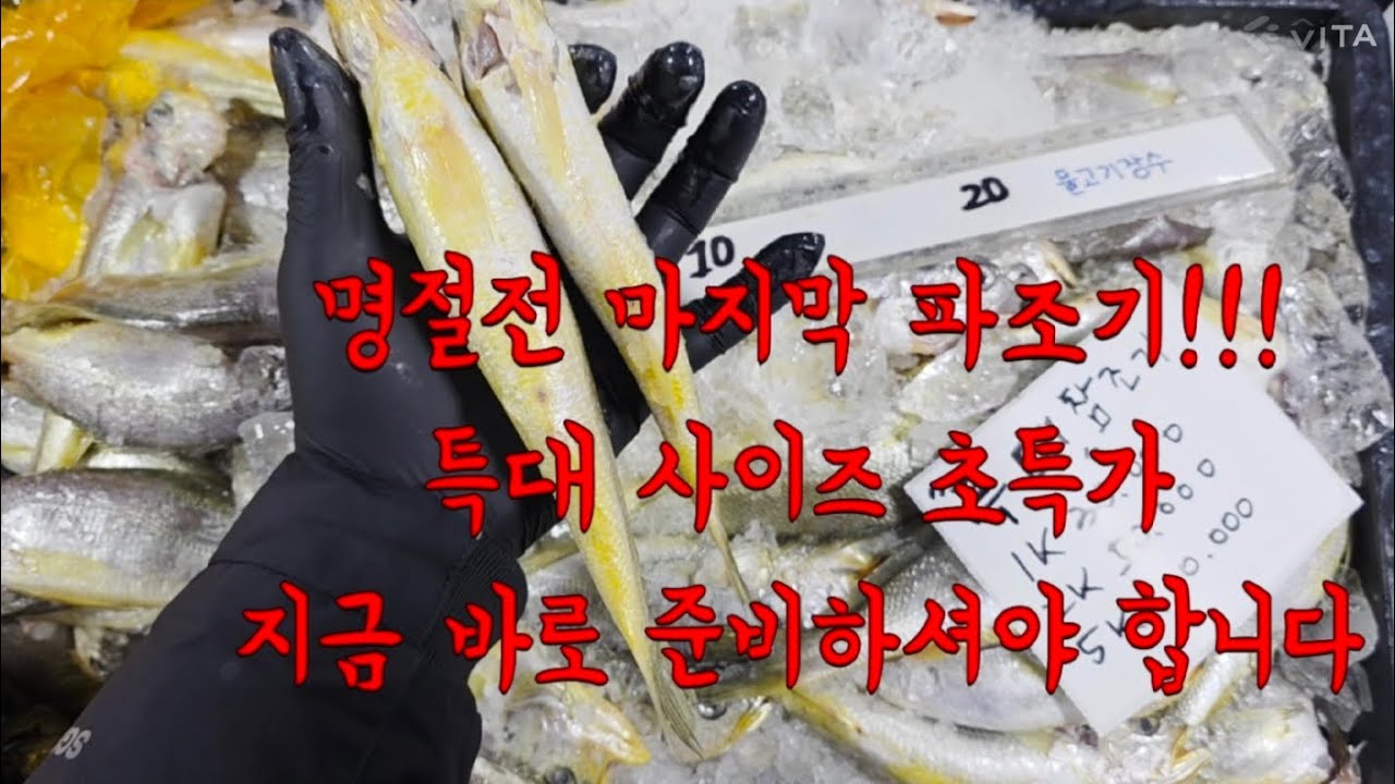 1월 21일 #특대파조기 #특가판매 #파조기 #참조기 #먹갈치 #민어 #대구 #박대 #장어 #삼치 #자연산 #국내산 #목포 #조기 #생선장수 #수산시장 #오늘물량